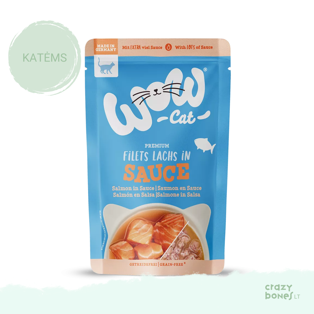 Lašišų gabalėliai sultinyje