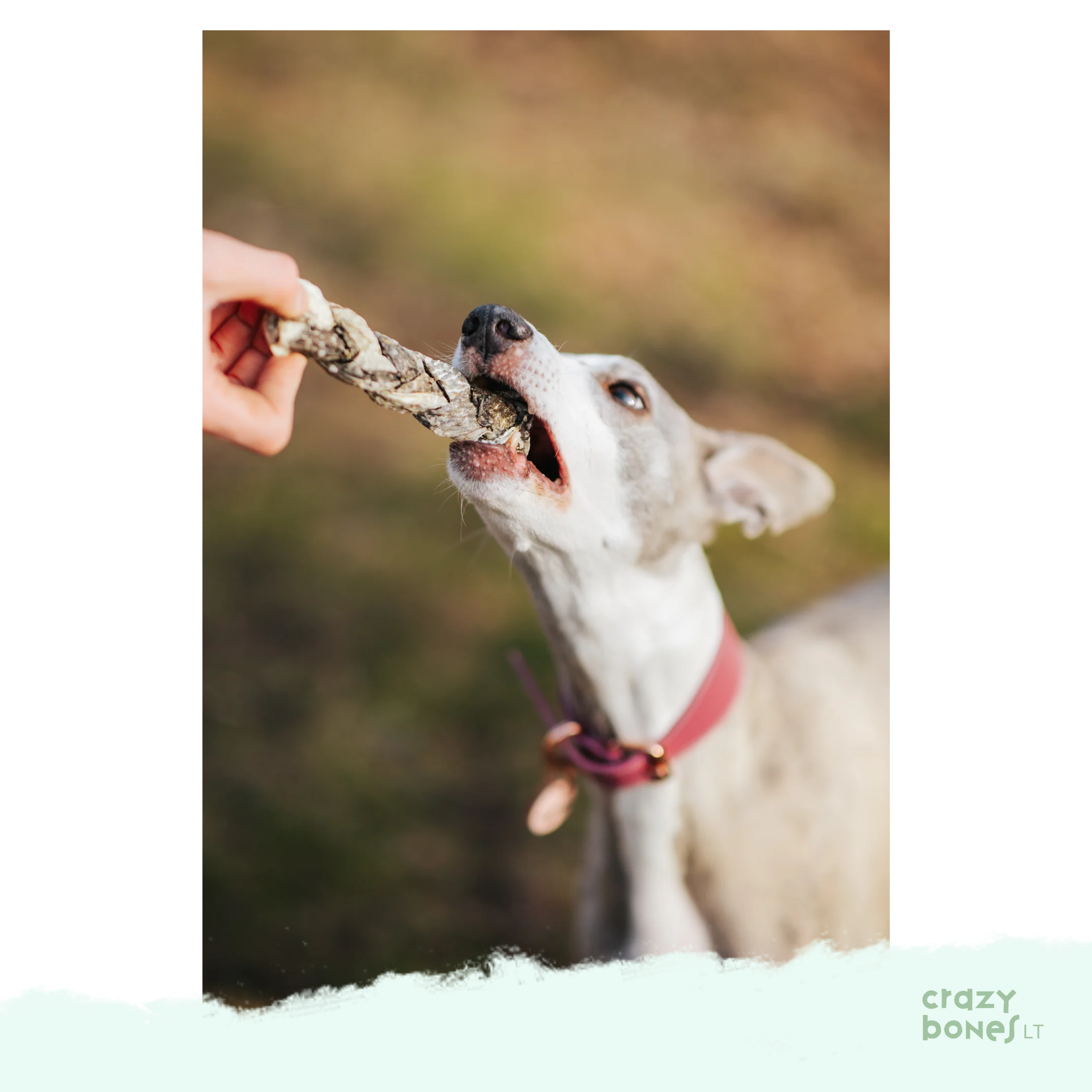 PALA NATURALS - Menkės odos suktinukai