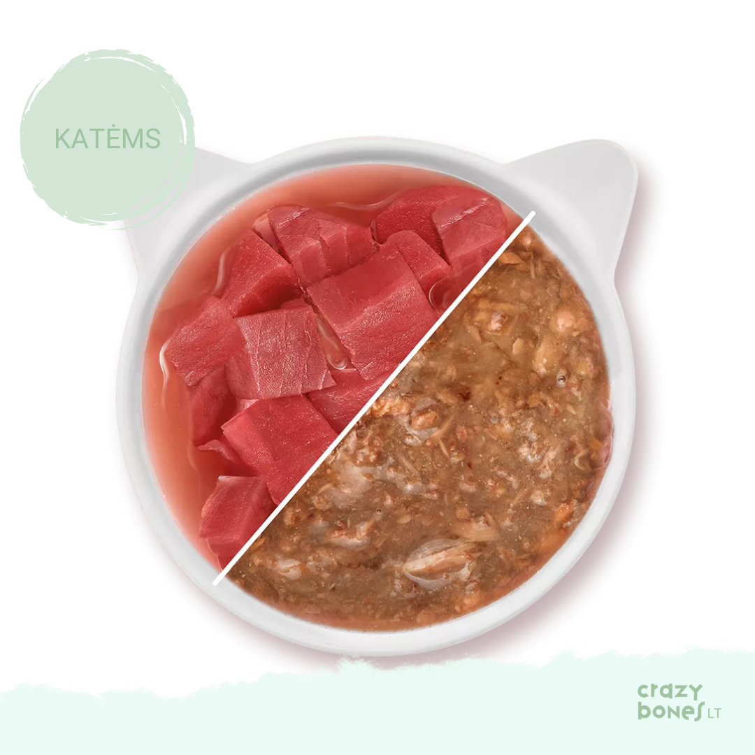 Tuno gabalėliai sultinyje