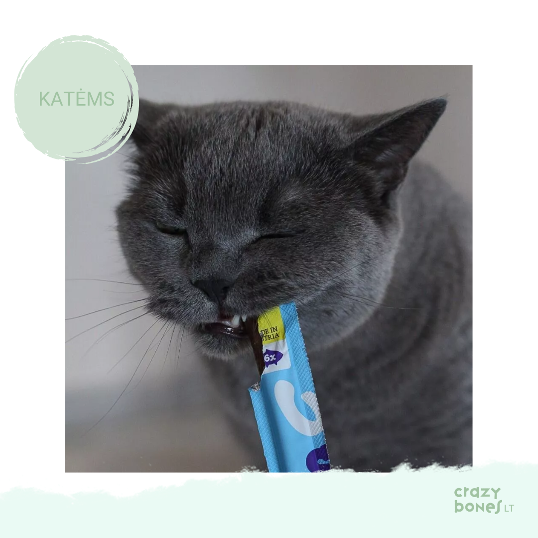 Kramtomos lazdelės su lašiša