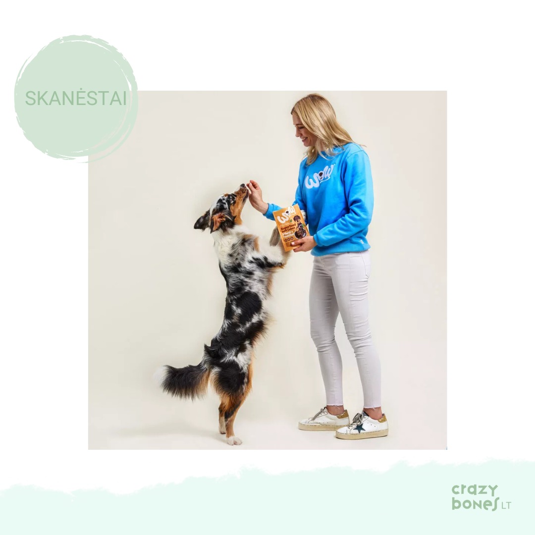 WOW dog zirga gaļas kubi