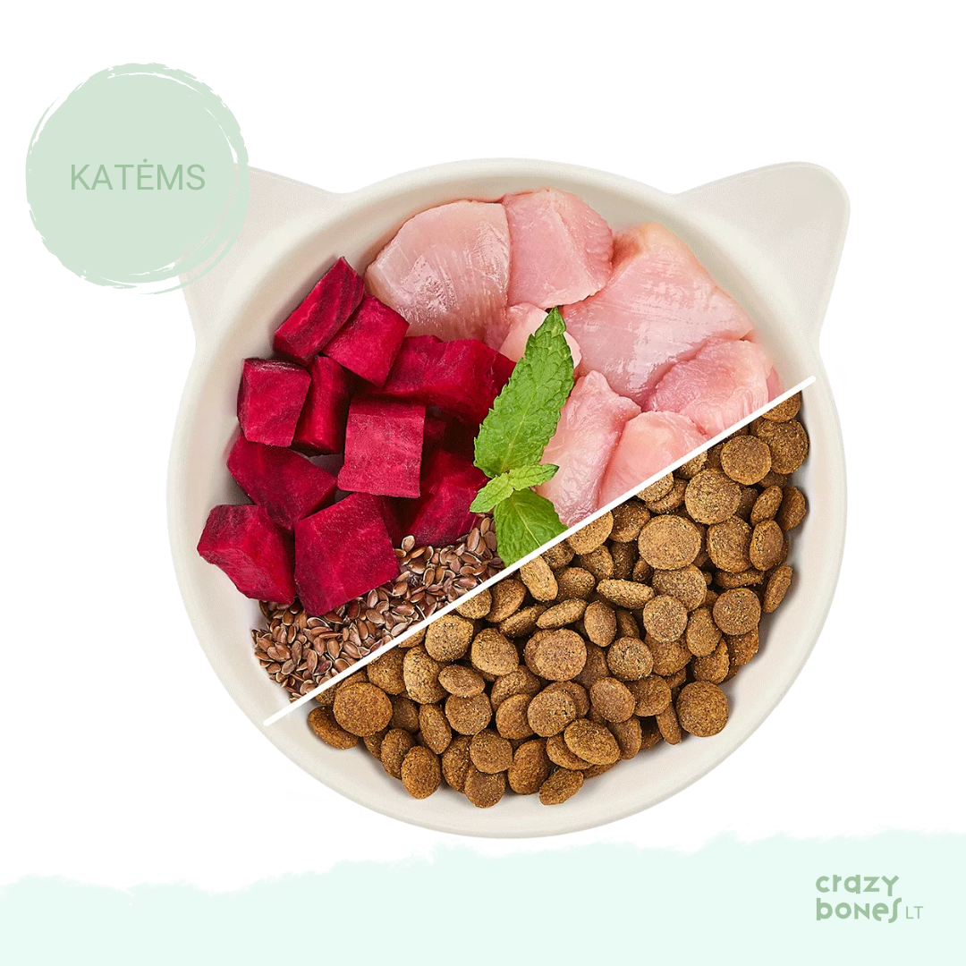 Sausas maistas su vištiena ir katžole