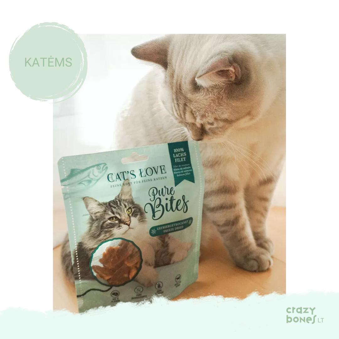 Šaltyje džiovinta lašišos file