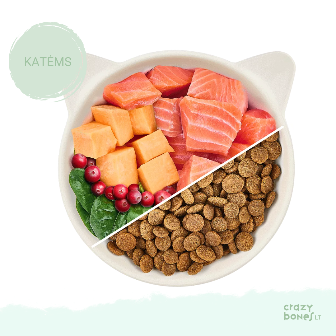 Sausas maistas su lašiša ir spanguolėmis