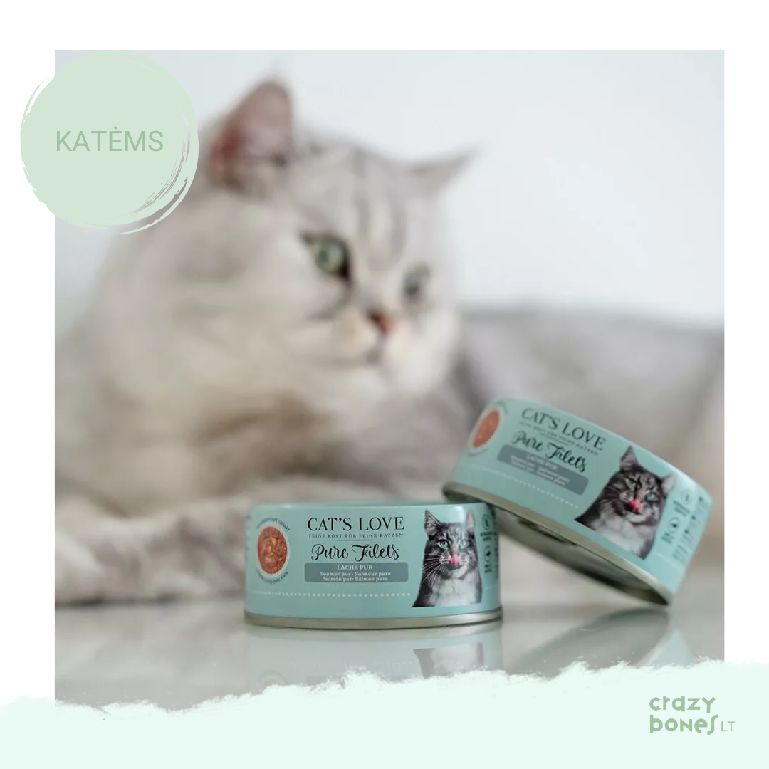 Natūrali lašišos file