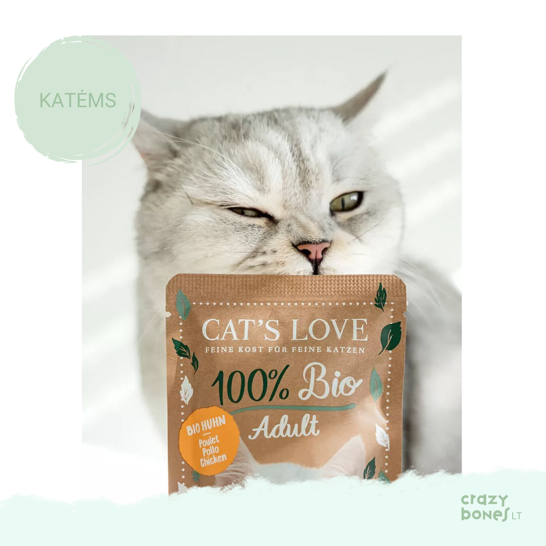 Ekologiškos vištienos meniu