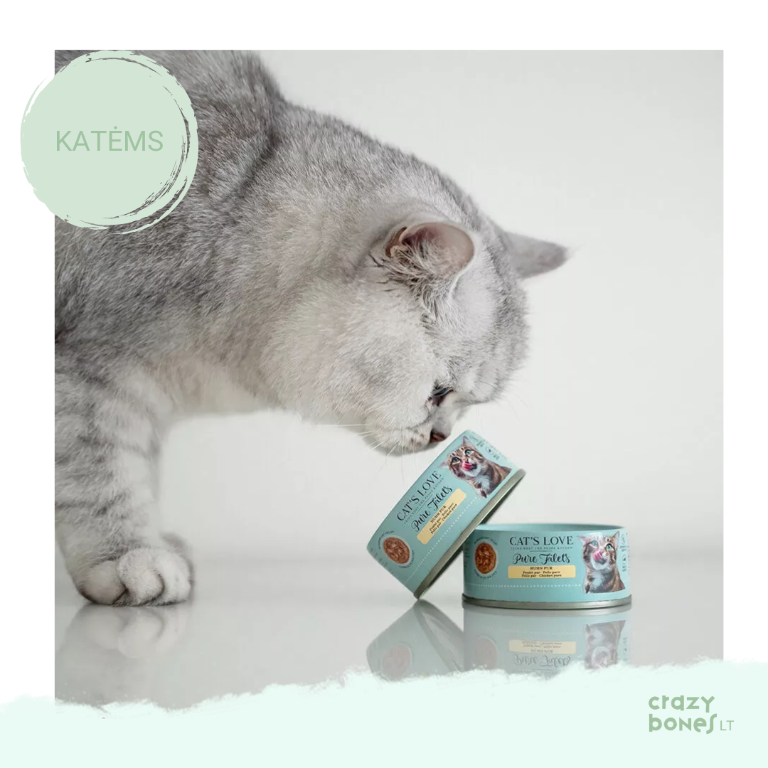 Natūrali vištienos file