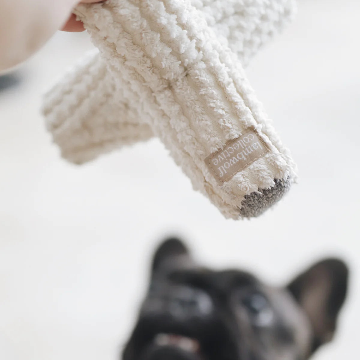 BREUER / Interaktyvus žaislas