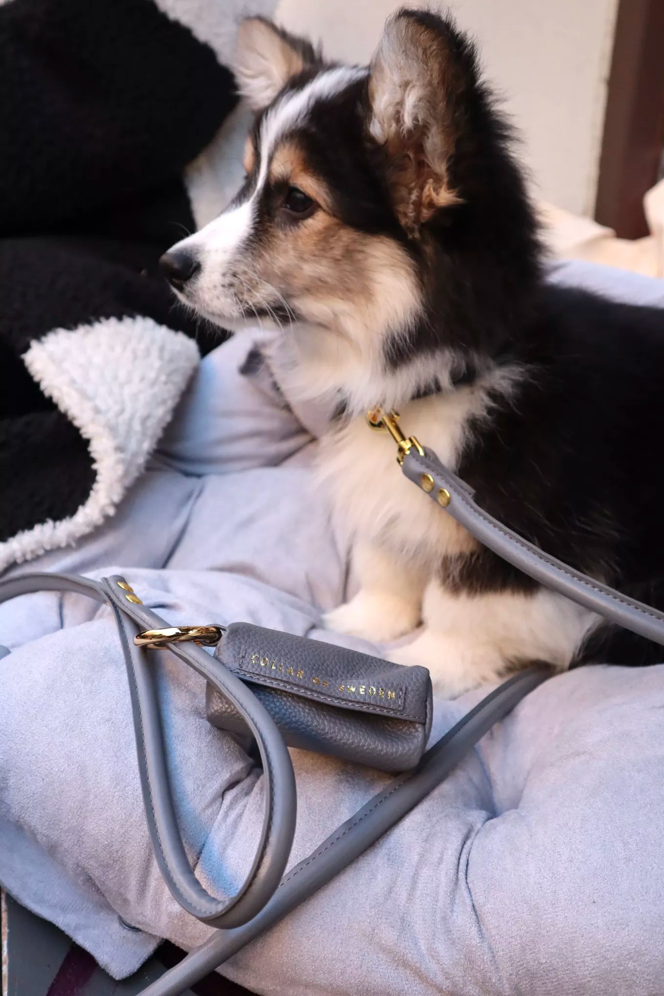 Dark gray vegan leather leash