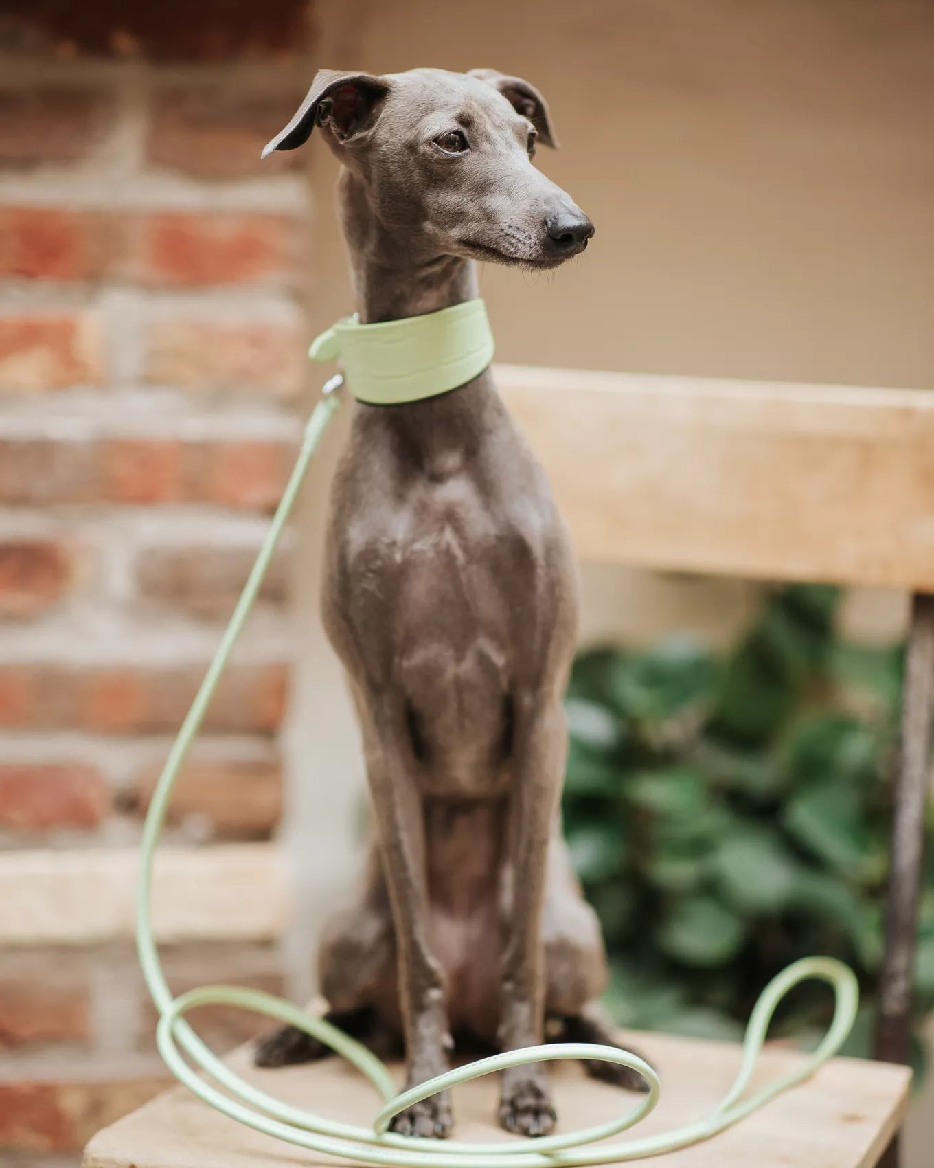 Green vegan leather leash