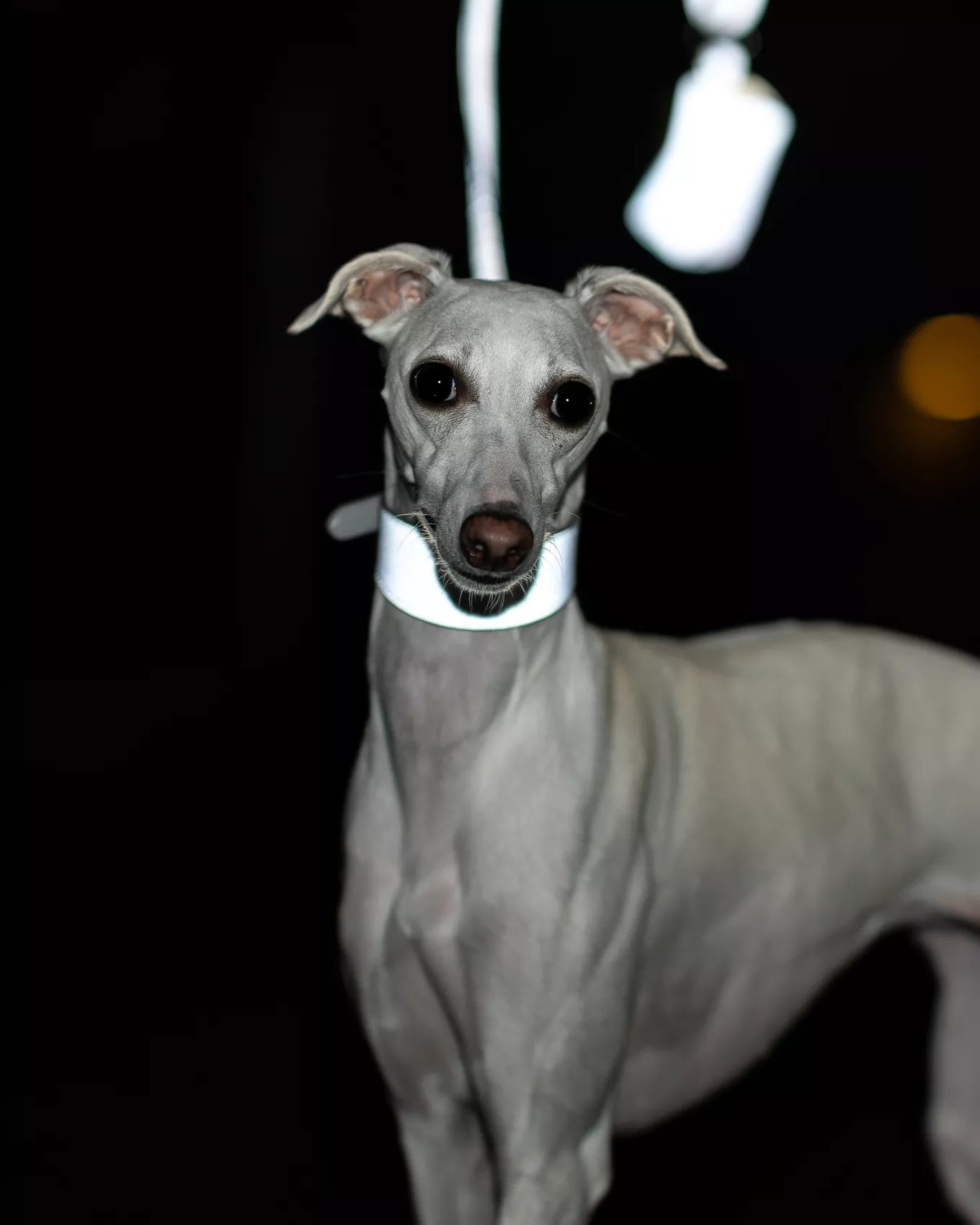 Gray reflective vegan leather leash