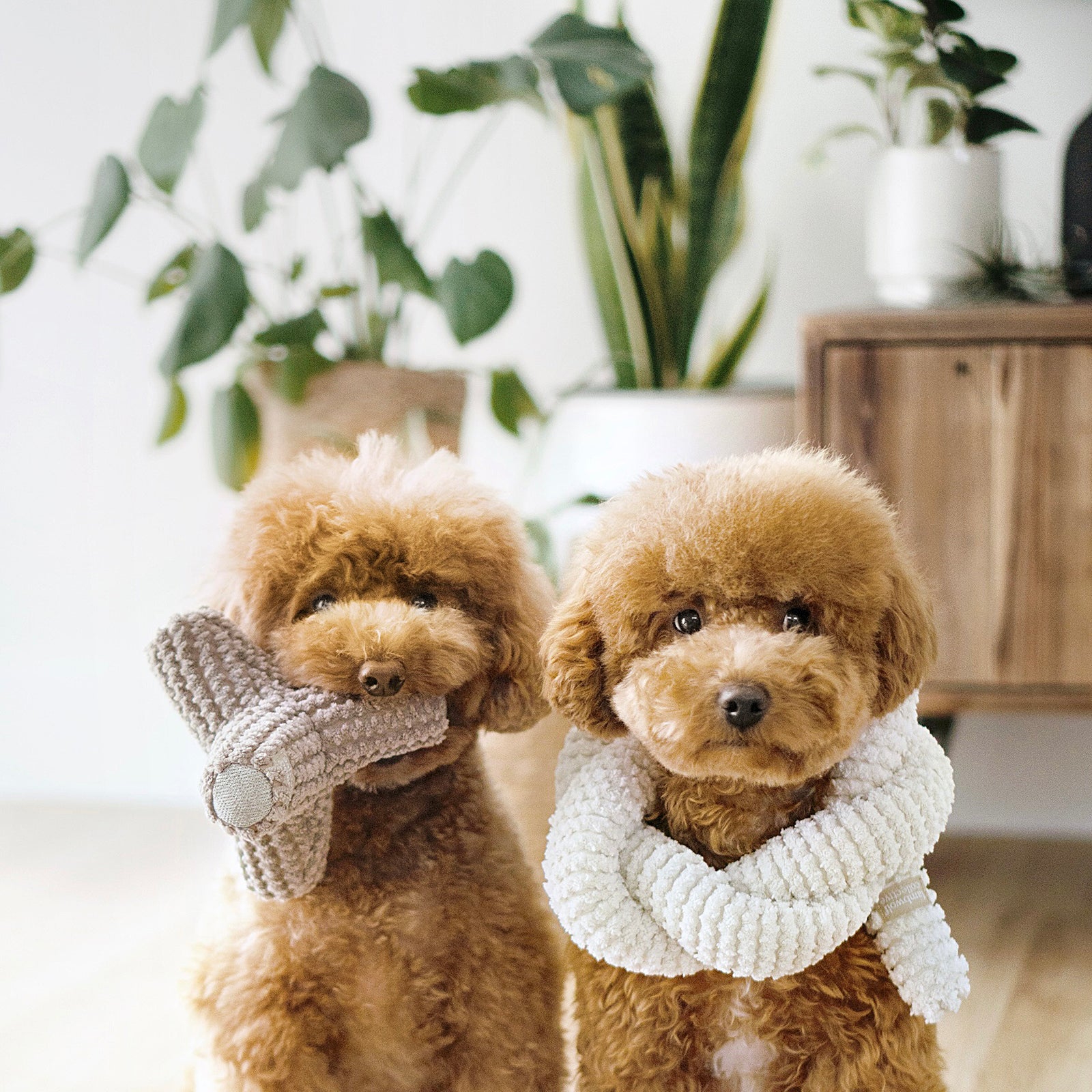 BREUER / Interaktyvus žaislas