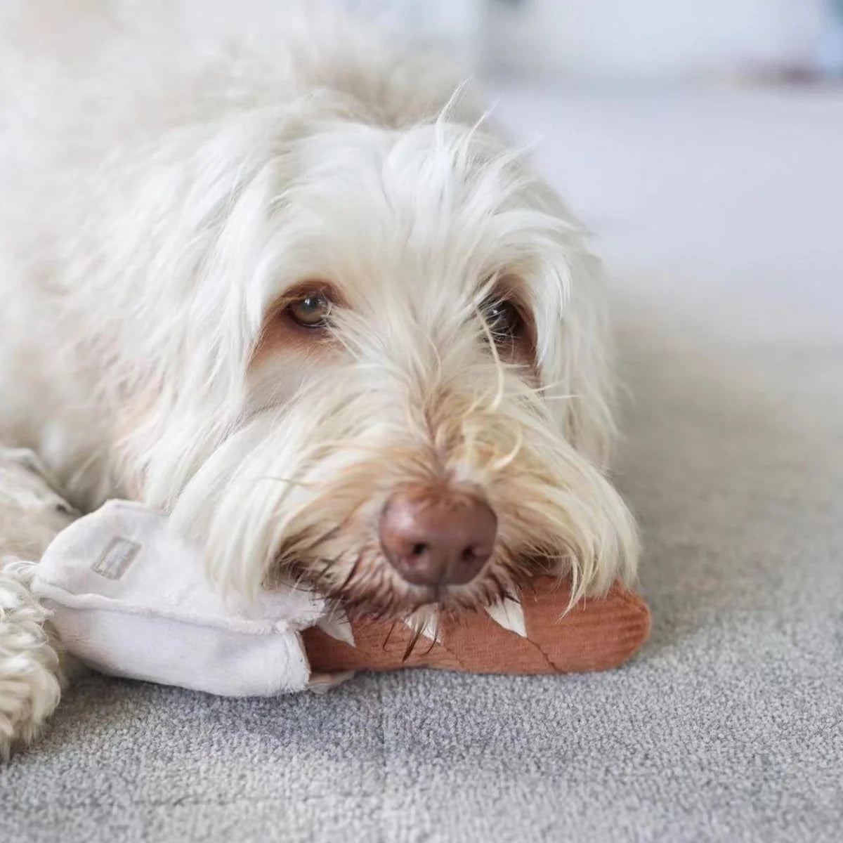 BAGUETTE / Interaktyvus žaislas