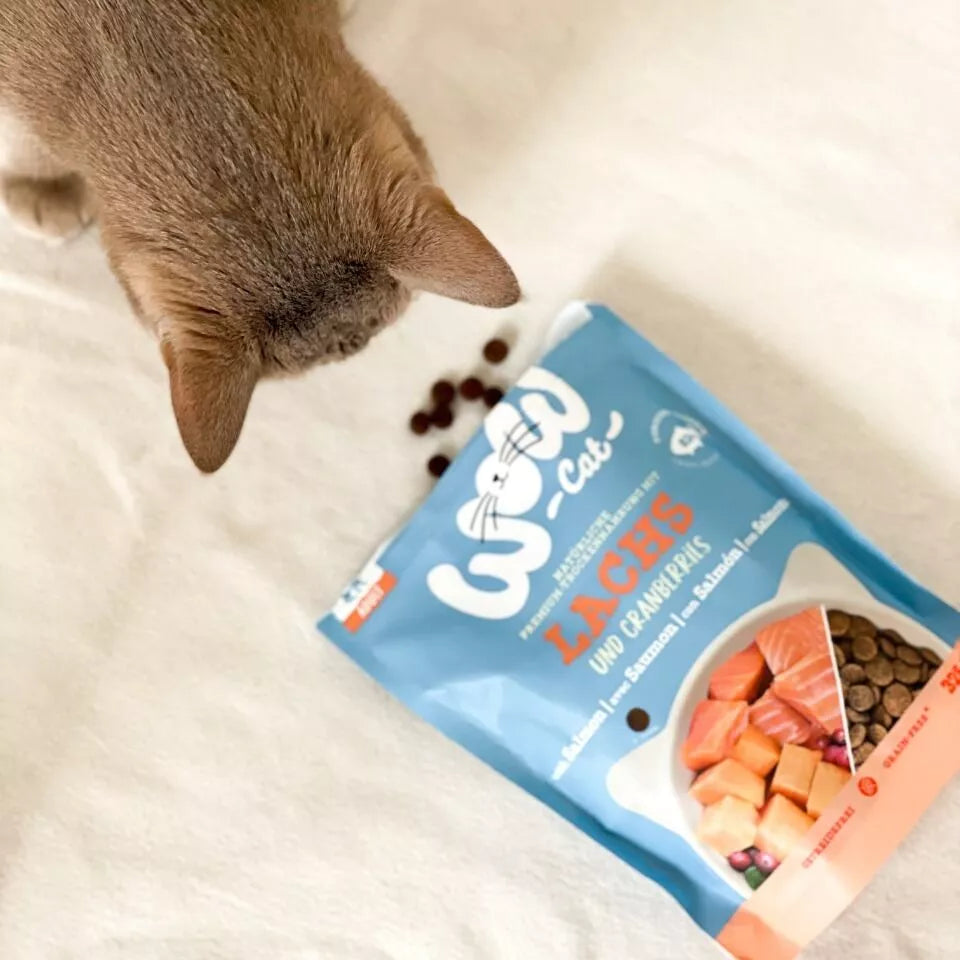 Sausas maistas su lašiša ir spanguolėmis