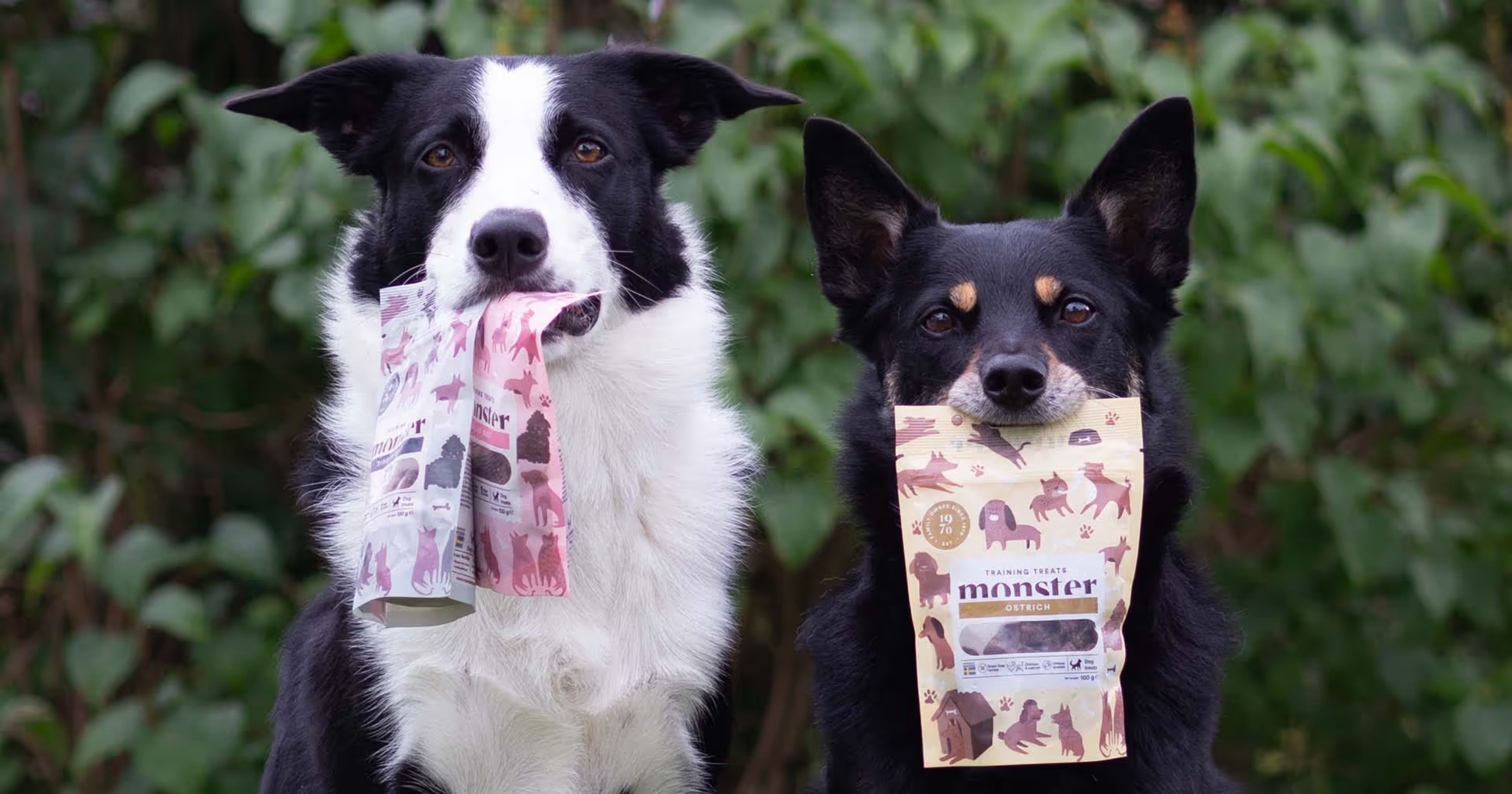 Treniruočių skanėstai