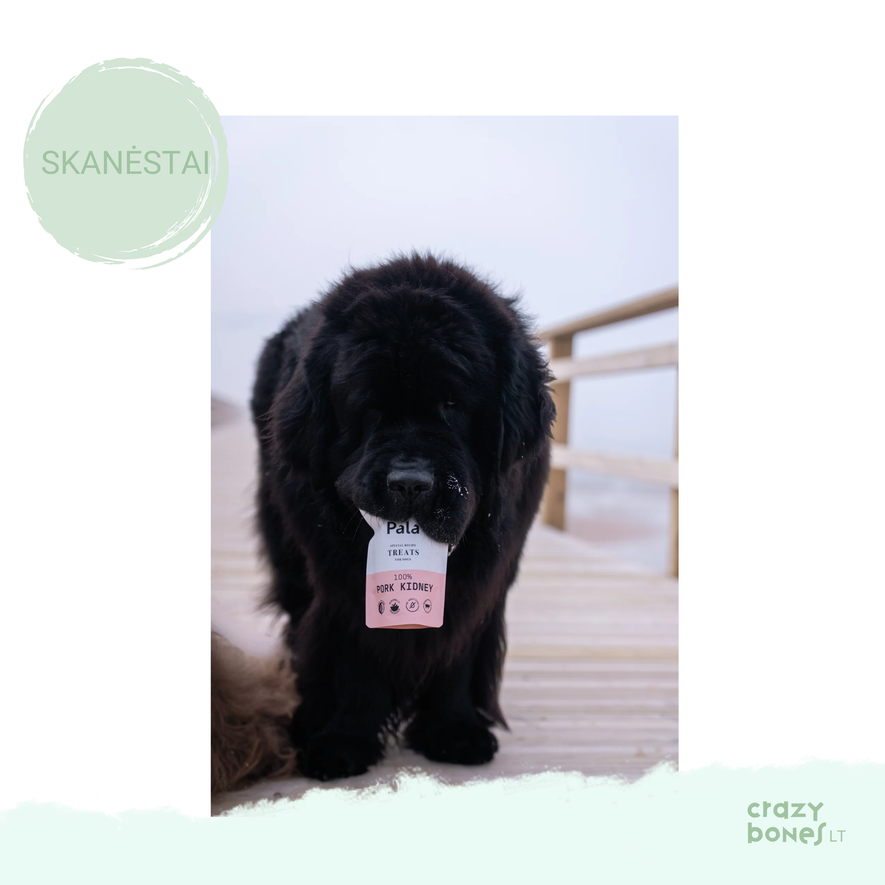 PALA skanėstai šunims -  KIAULIENOS INKSTAI