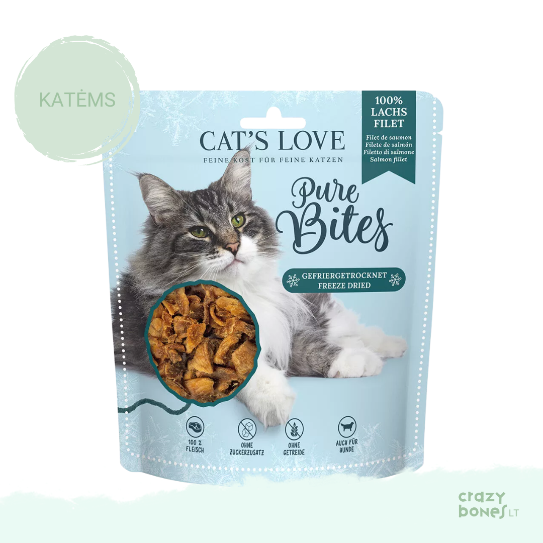 Šaltyje džiovinta lašišos file