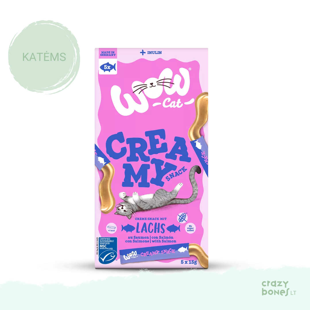 Kreminis skanėstas su lašiša