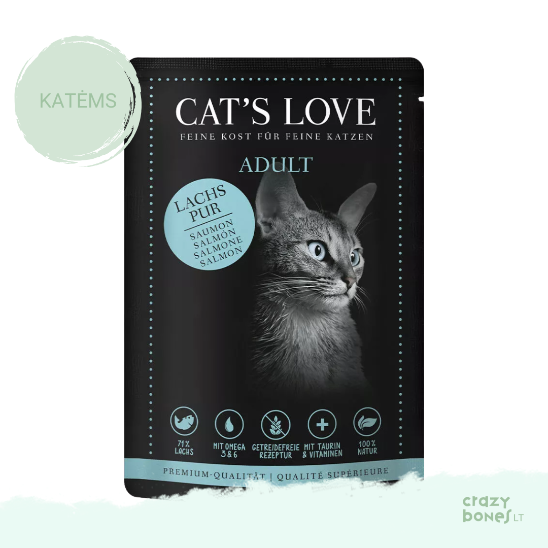 Klasikinis lašišos meniu