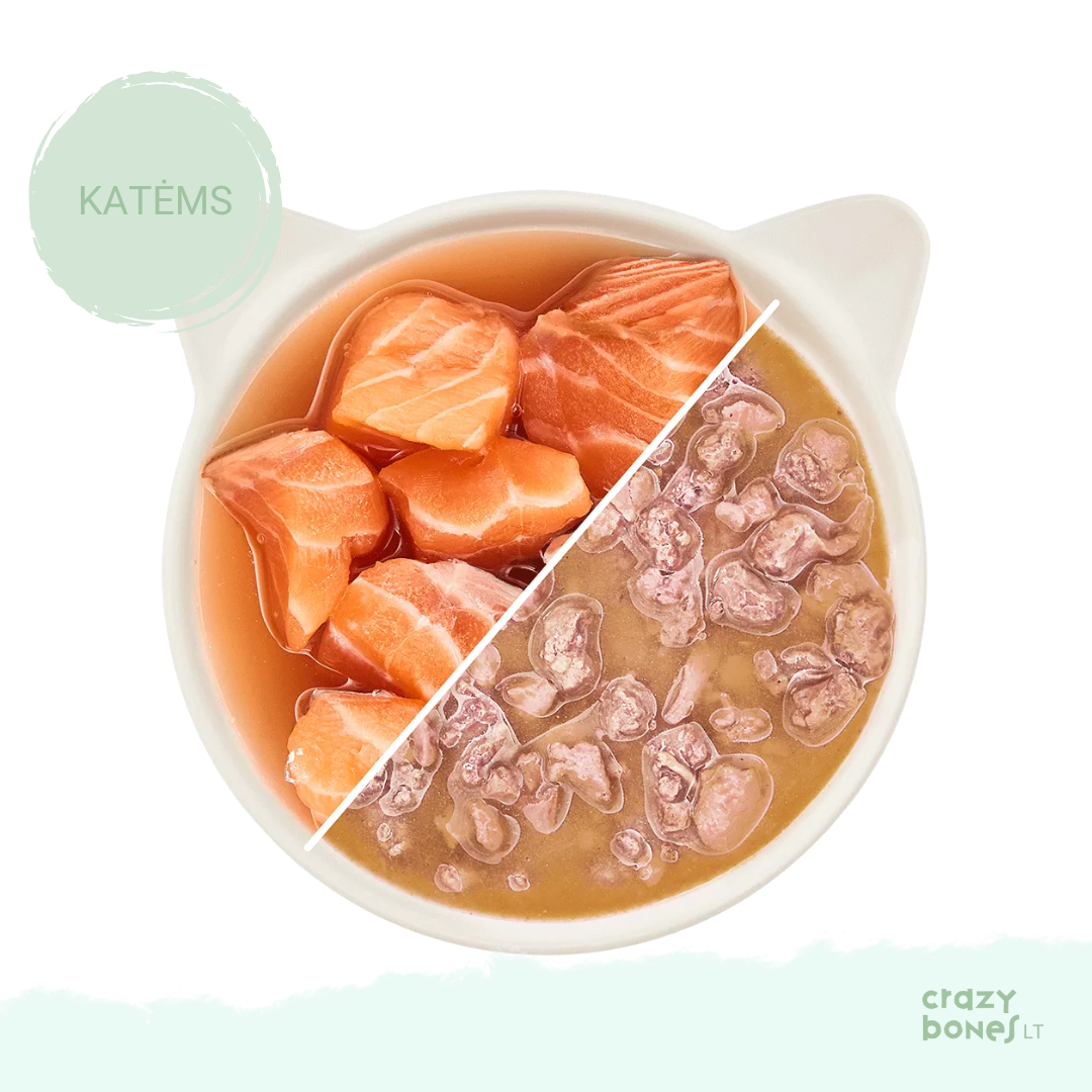 Lašišų gabalėliai sultinyje