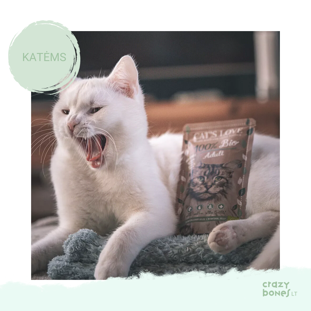 Ekologiškos paukštienos meniu