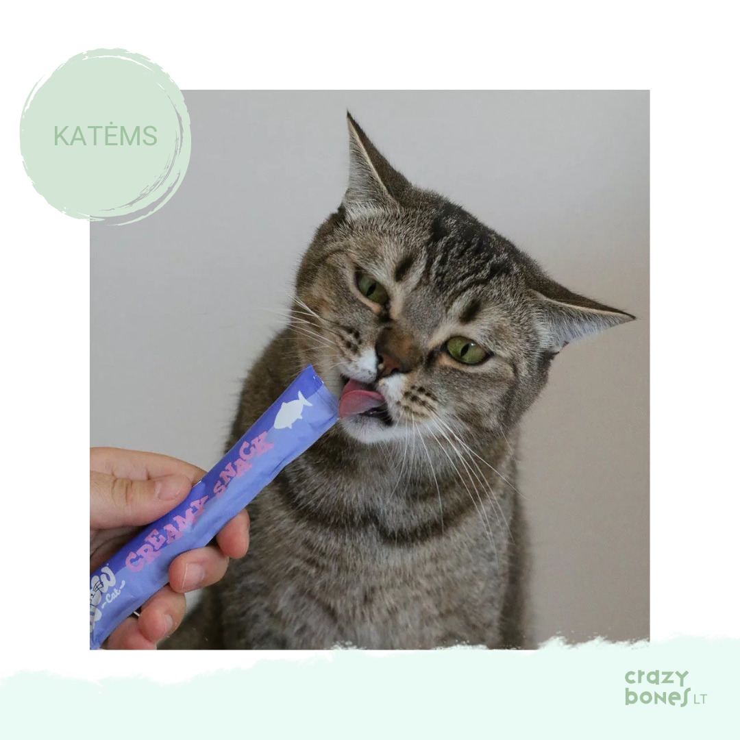 Kreminis skanėstas su lašiša