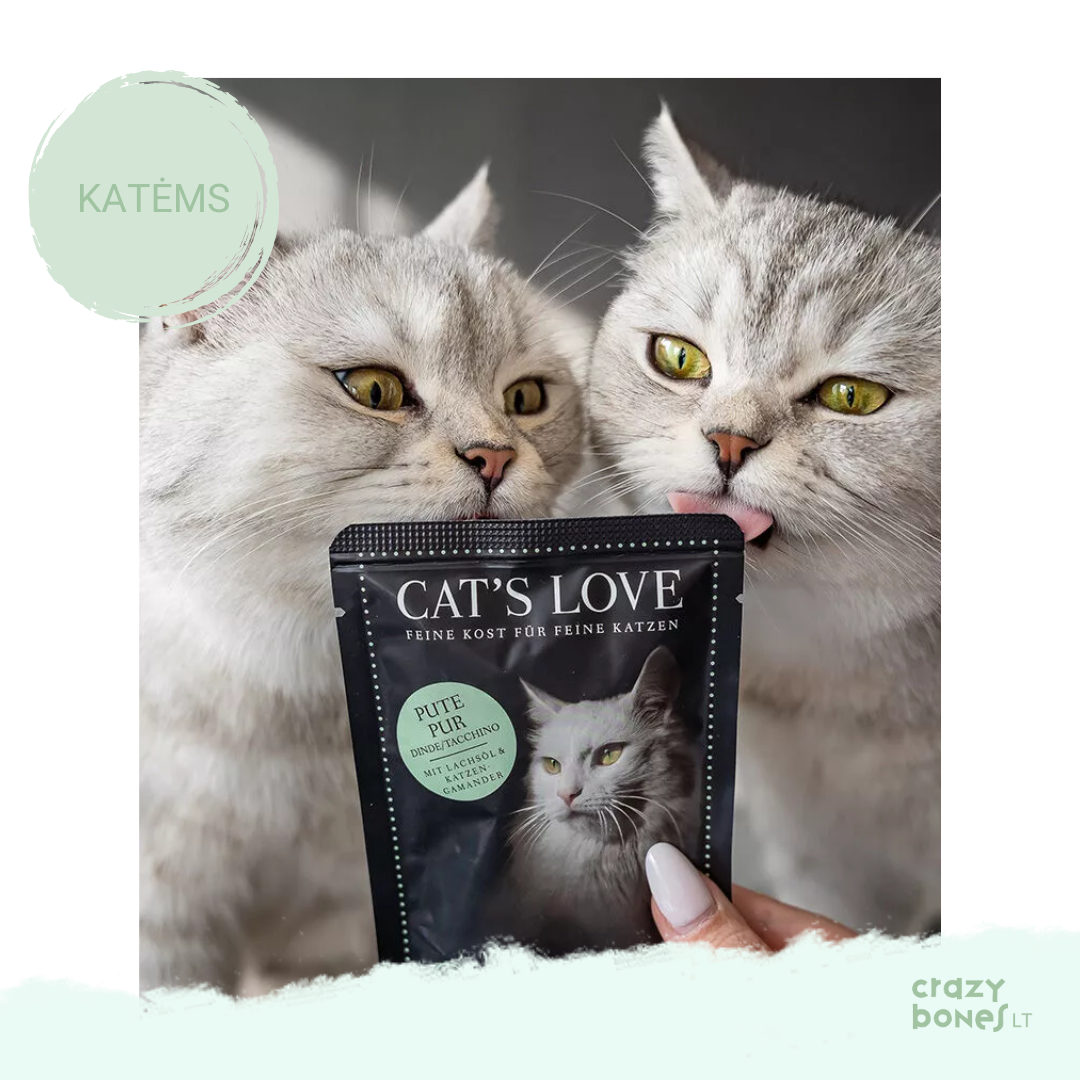 Klasikinis kalakutienos meniu