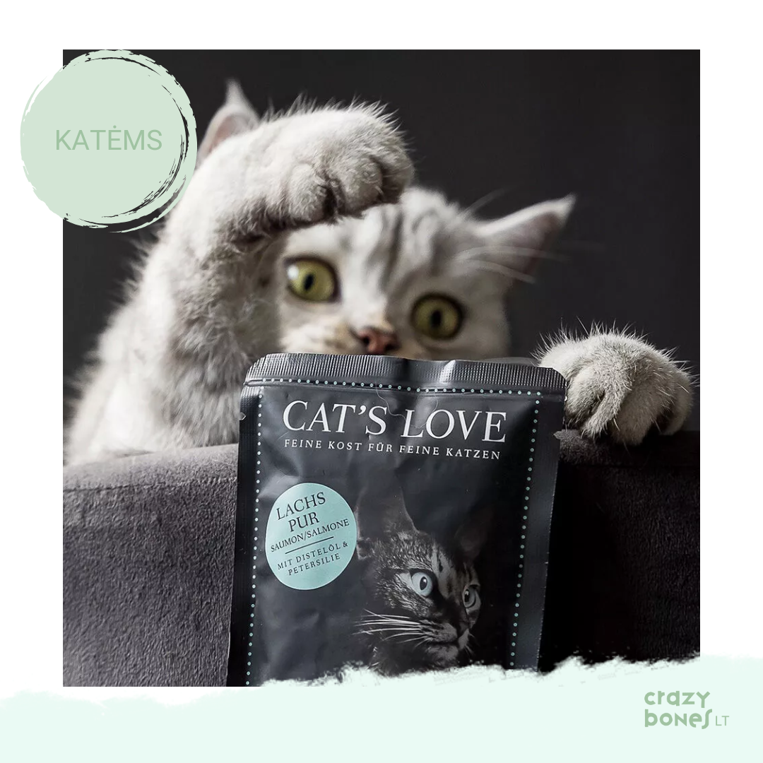 Klasikinis lašišos meniu