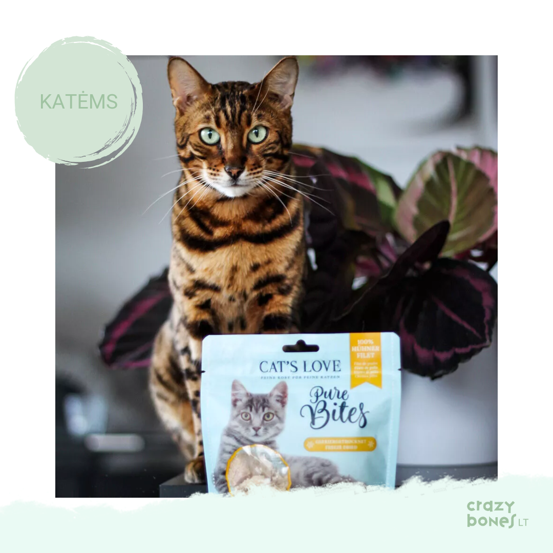 Šaltyje džiovinta vištienos file