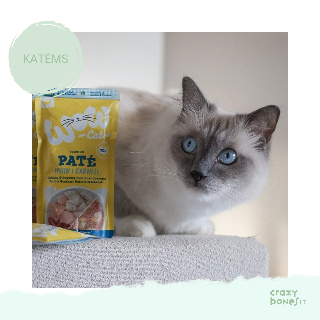 Natūralios vištienos ir krevečių paštetas