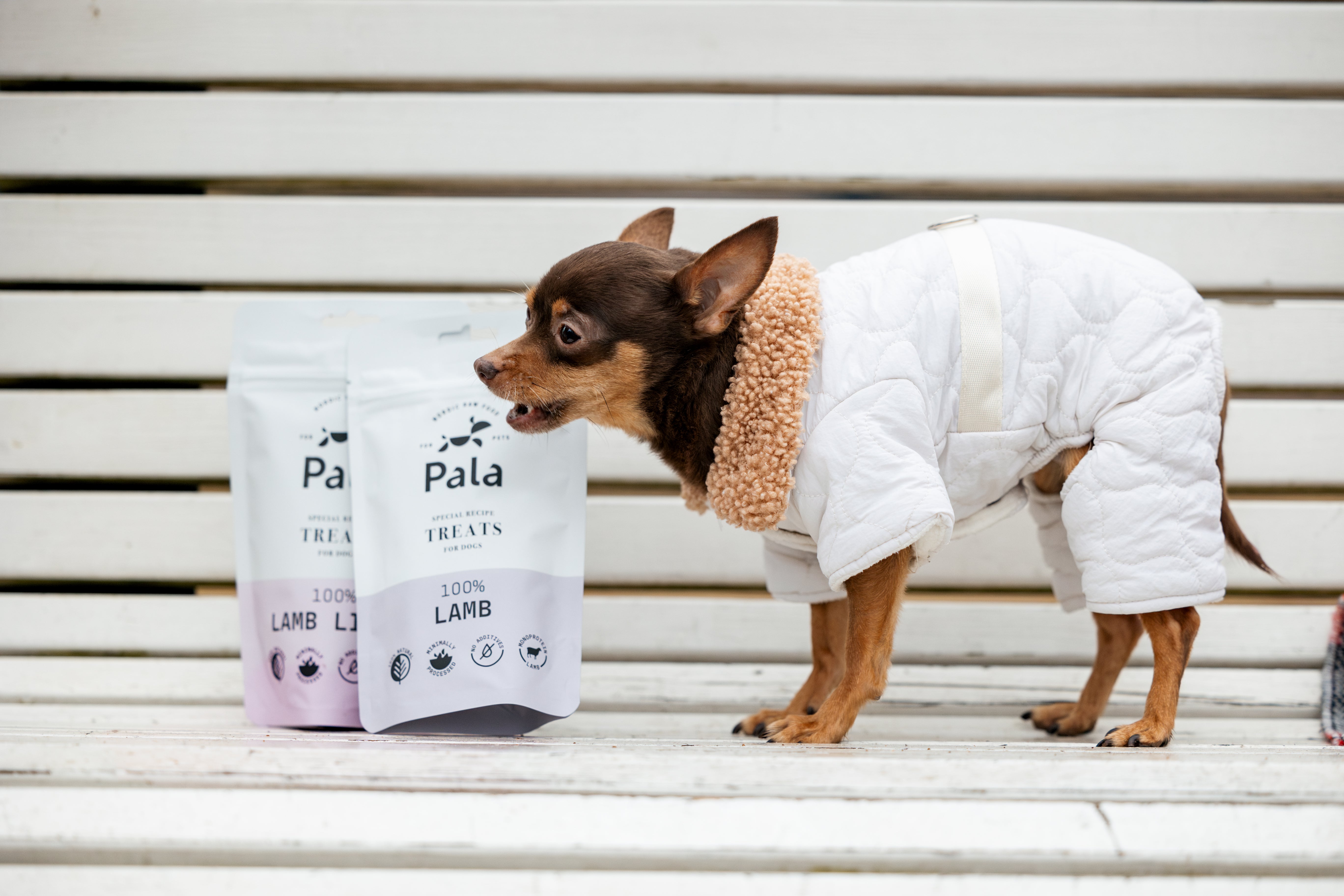 PALA treats for dogs - CHICKEN
