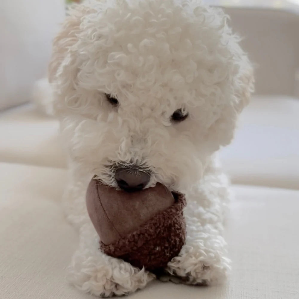 ACORN / Interaktyvus žaislas