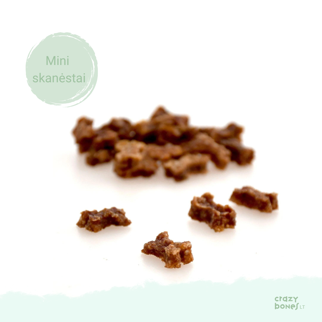 SANADOG Mini Beef Training Bones with spinach and raspberries (100g)