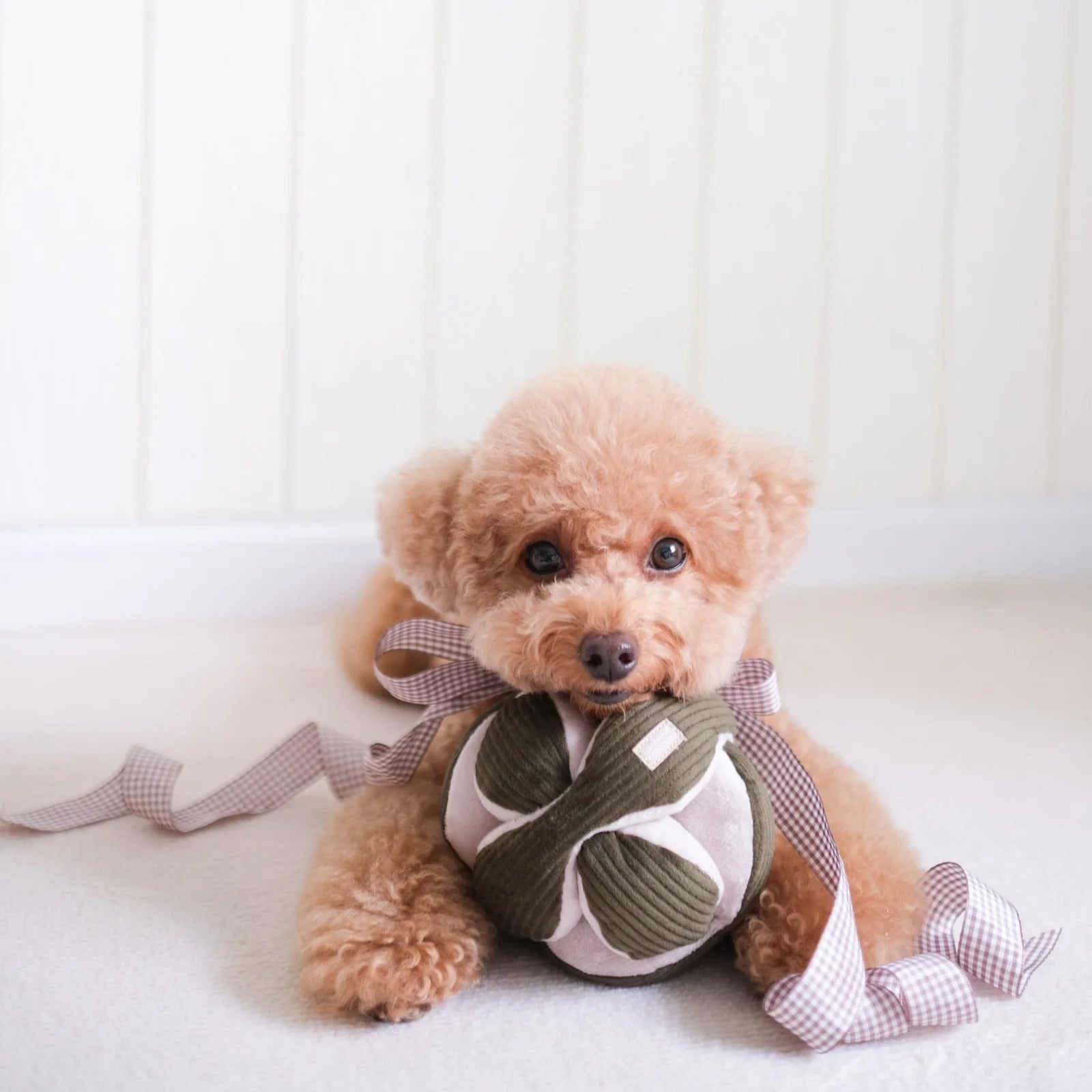 MONTI / Interaktyvus žaislas