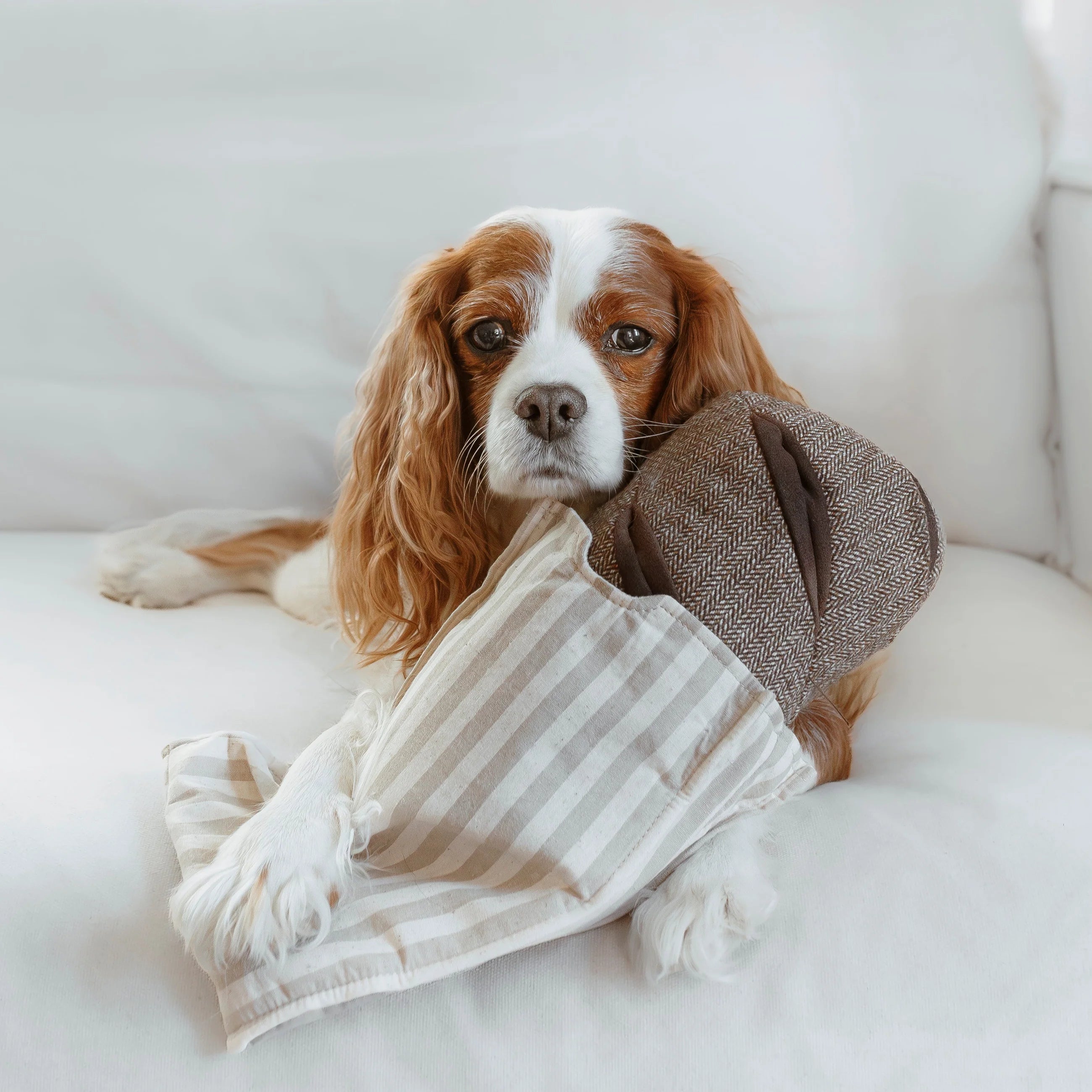 RYE BREAD / Interaktyvus žaislas