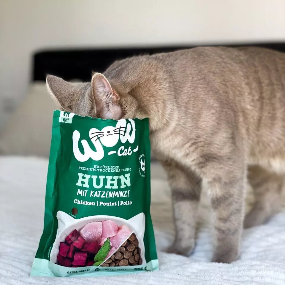 Sausas maistas su vištiena ir katžole